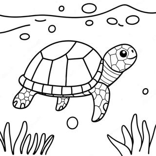 Sea Turtle Coloring Page 14579-11774