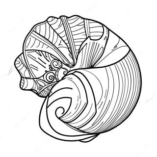 Seashell Coloring Page 2591-2116