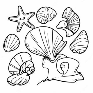 Colorful Seashells Under The Sun Coloring Page 2592-2118