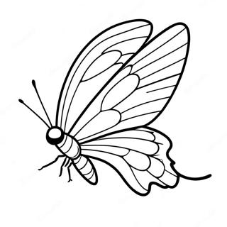 Colorful Silkwing In Flight Coloring Page 29314-23498