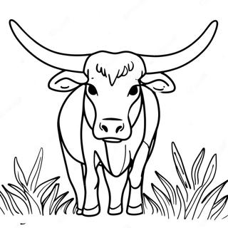 Longhorn Bull Coloring Page 32473-26007