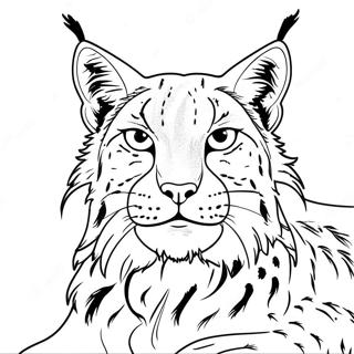 Lynx Coloring Page 32563-26065