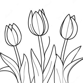 Colorful Tulips In Bloom Coloring Page 3307-2685