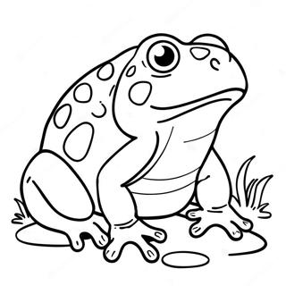 Toad Coloring Page 331-262