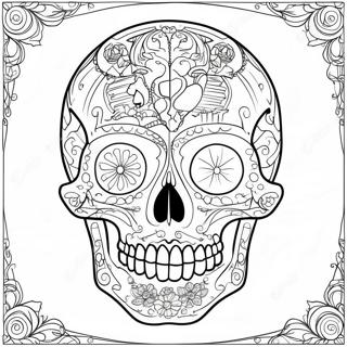 Skull Anatomy Coloring Pages