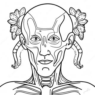 Human Anatomy Coloring Page 40953-32708